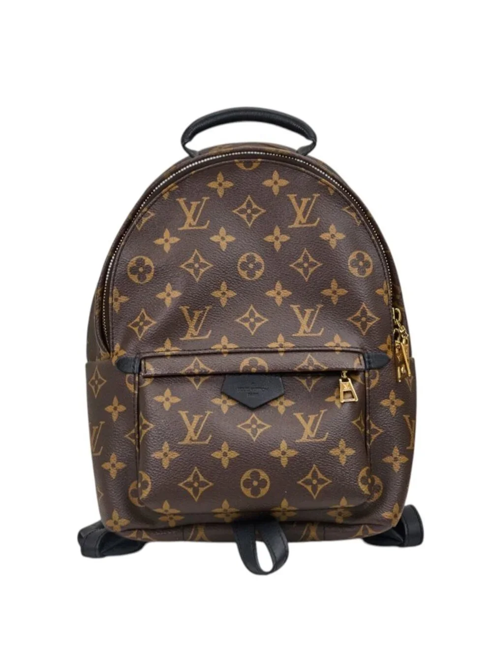 Louis Vuitton Palm Springs PM Monogram